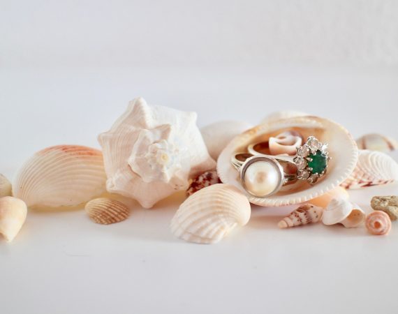 Conchiglie con perle | Gioielleria De Vitis Sabaudia